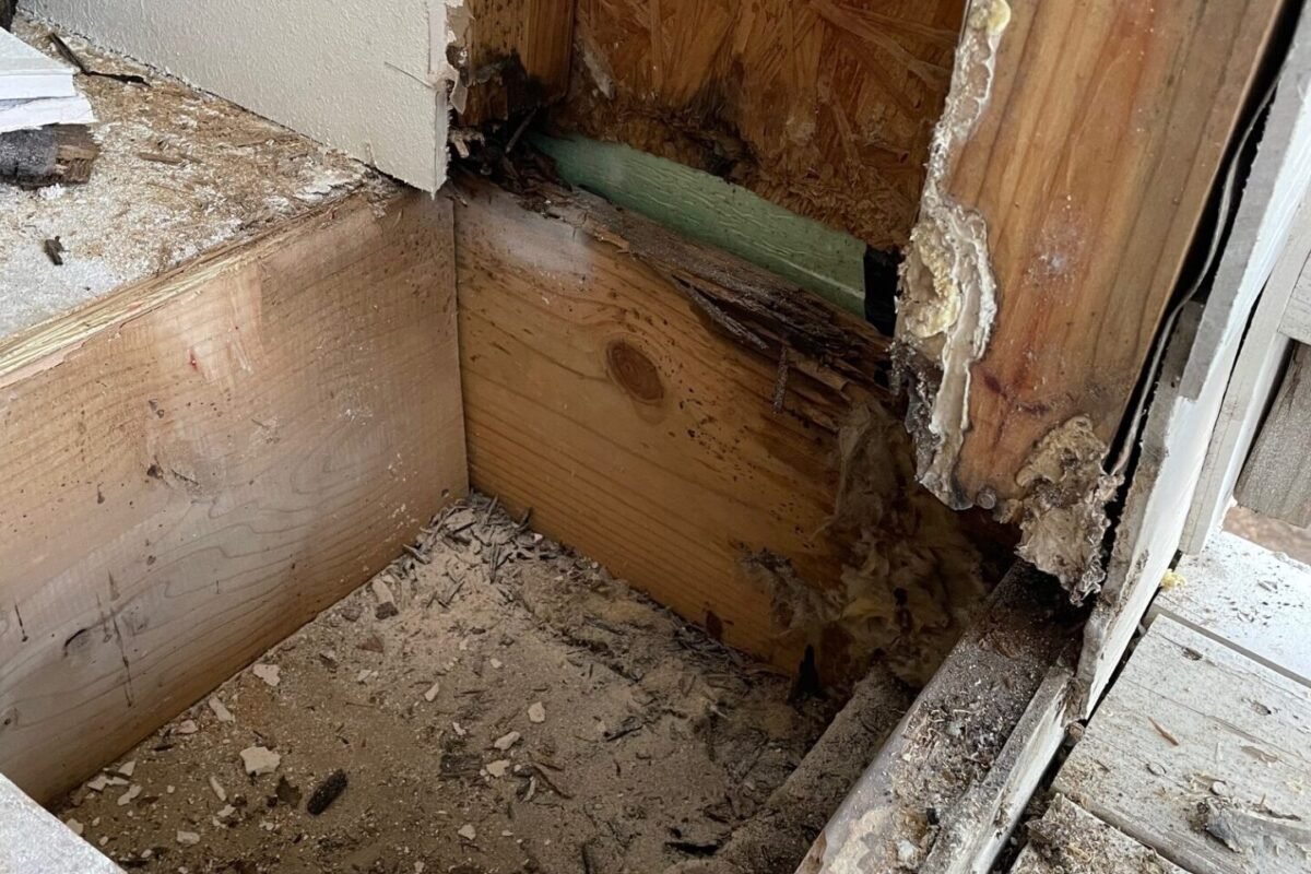 A crawl space Sugar Land